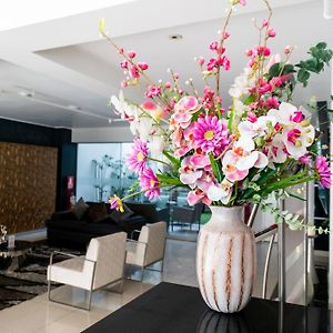Apart Hotel Petit Palace Suites